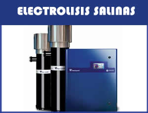 Electrolosis Salinas